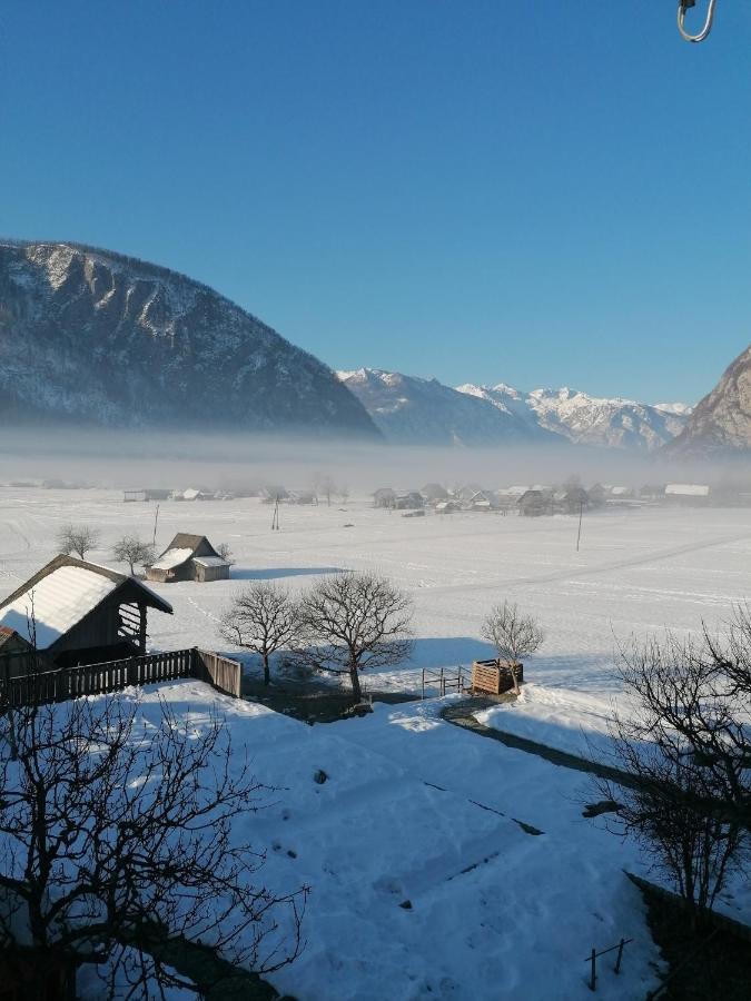 Apartment Cvetek Janez Bohinj Luaran gambar